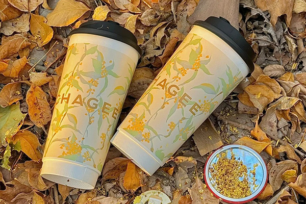 了解霸王茶姬加盟，开启你的财富之路